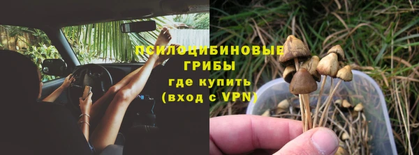 прущая мука Семилуки
