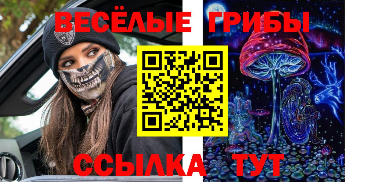 Псилоцибиновые грибы MAGIC MUSHROOMS  Галлюциногенные грибы Cubensis  Вход с VPN  Вичуга 